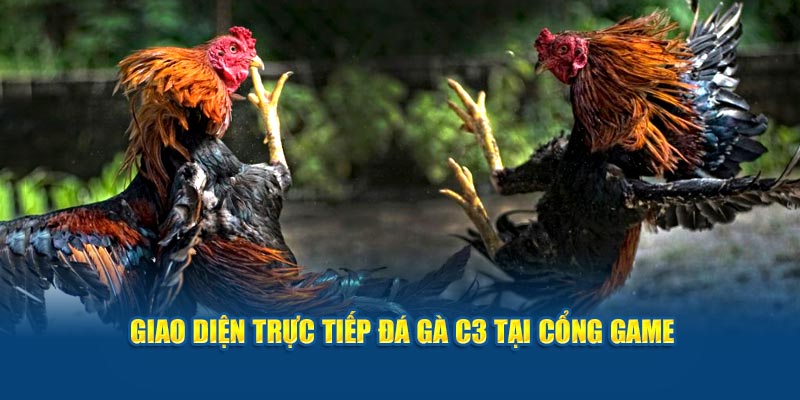 giao-dien-truc-tiep-da-ga-c3-tai-cong-game